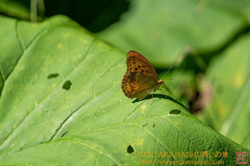 ../Images/7R240817 (31).jpg